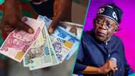 FG invites Nigerians to invest, earn up to 14.96% interest from new FGN savings bonds