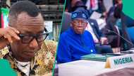 Sowore under fire for calling Tinubu criminal, "you have crossed the rubicon"