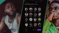 Davido: Leaked audio as disgruntled 30BG fans drag OBO for picking Wizkid over them