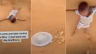 "God take control": Little boy falls to the ground after wasting plate of rice, video stirs emotions