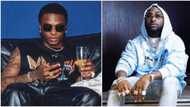 “Proper show, proper venue”: Old video emerges of Wizkid revealing post he made that started beef with Davido