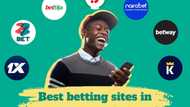 7 Best betting sites in Nigeria in 2024: Top offers and bonuses