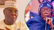 Atiku ya taso Tinubu a gaba, ya yi masa wankin babban bargo kan abu 1