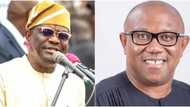 2023 presidential poll: Wike reacts, reveals how Peter Obi prevented north from retaining power