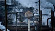 Trump greenlights Nippon Steel 'partnership' with US Steel
