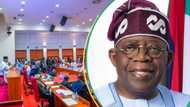 “We cannot take people for granted”: Senate urges Tinubu to address food Scarcity, hunger crisis