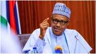 2023: Nigeria’s presidency open to all zones, Northern Group warns