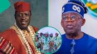 Tinubu at 74: Ogogo, Alapini, other Nollywood stars' heartfelt wishes in video spark controversy
