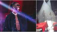 More female brassieres pour in for Burna Boy as he performs in South Africa, video, photo emerge