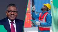 Dangote reacts as NPA advocates crude oil sale in naira, customs announces N400 per litre petrol