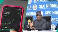 SEC declares another popular investment scheme a Ponzi, warns Nigerians