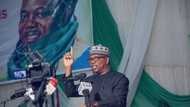 2023 elections: Prominent ex-APC presidential aspirant dumps Tinubu, endorses Peter Obi