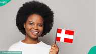 Denmark lists 4 categories of foreigners exempt from attending citizenship ceremony