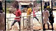She's blushing; Nigerians react as masquerade abandons duty of the gods to collect lady's phone number in clip