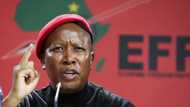 Julius Malema chides South Africans mourning Queen Elizabeth II