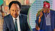 June 12: Shehu Sani tells Tinubu what to do about EndSars protesters in prisons