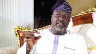 Just in: Dino Melaye's nephew killed in Kogi election violence, senator mourns, raises allegations