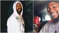 He means a painter, fans tell Davido as he shoots shot after rapper Meek Mill launched search for Nigerian artists