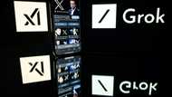 Chatbot Grok stirs confusion over suspension after Gaza claims