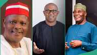 “Meeting El-Rufai soon”: PDP breaks silence on Atiku, Peter Obi, Kwankwaso possible merger in 2027