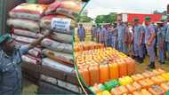 Customs sound alarm on how smuggled rice, fuel worsens Nigeria's forex crisis