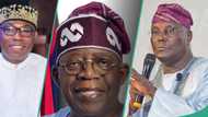 "Chicago certificate fever": Ex-presidential candidate reacts as CSU releases Tinubu’s records