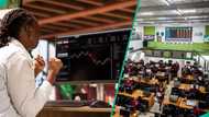 NGX All-Share Index rises 3.94% as 46 stocks post gains