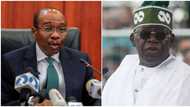 Godwin Emefiele: FG explains why President Tinubu suspended CBN governor