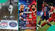 Cat predicts winner of UEFA Champions League quarter-final match between PSG and Liverpool FC