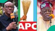 Rivers election: Full list of local governments where APC lost