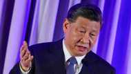 China ready to be 'partner and friend' of US: Xi