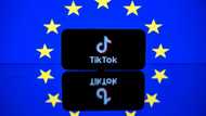 Meta, TikTok challenge incoming EU digital market law