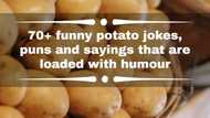 70+ funny potato jokes, puns and sayings that are loaded with humour