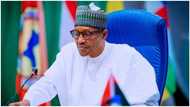 Electoral Bill: CSOs dares Buhari, demand assent in 2 days, threatens protest