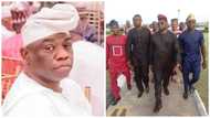 APC, PDP's chances threatened as Abiola's son reveals take over plan in 2023