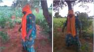 Yanzu-yanzu: An samu gawar wata budurwa a rataye a jikin bishiya a jihar Jigawa