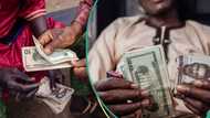 Naira crashes again in official market, BDC traders quote dollar exchange rate