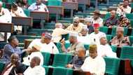 Bandits: House of Reps okay full military action in Katsina state