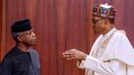 We are watching closely - Afenifere says as Buhari reportedly directs Osinbajo to seek approvals for agencies under him