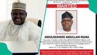 Abu ya girma: Hukumar EFCC ya ayyana neman Abdulrashid Maina ruwa a jallo, ta fadi dalili