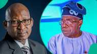 Tinubu gives appointment to Patrick Obahiagbon, Edo politician known for big grammar, details emerge