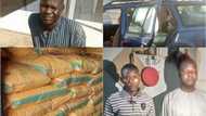 Breaking: Troops arrest high profile Boko Haram terrorist, recover 281 bags of IED in northeast