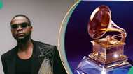 Excitement as Kizz Daniel submits song for Grammy consideration: "Vado go win to ma po bi vit C"