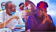 President Tinubu's FG dissolves governing boards of federal universities, ASUU reacts