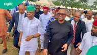 Ex-Imo gov Ihedioha reportedly set to join LP after dumping PDP, appoints new CPS