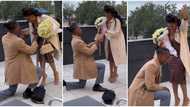 "Happiest day of my life": Lady has amazing reaction as boyfriend surprises her with proposal, video trends