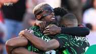 AFCON 2025: Victor Osimhen and Akor Adams scored as Nigeria beat Algeria 2-0 in quarterfinal