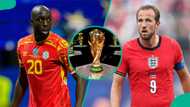 England vs DR Congo: Mysterious cat predicts 2026 FIFA World Cup Round of 32 match