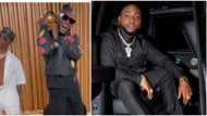 Make amends with Davido, he has been reaching out publicly: Influencer tells Burna Boy, Wizkid, fans react