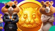 Hamster Kombat: Alamun da ke nuna ko za a samu alheri a mining Inji Masanin Crypto